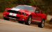 Shelby Shelby Cobra GT500 Widescreen Picture #48